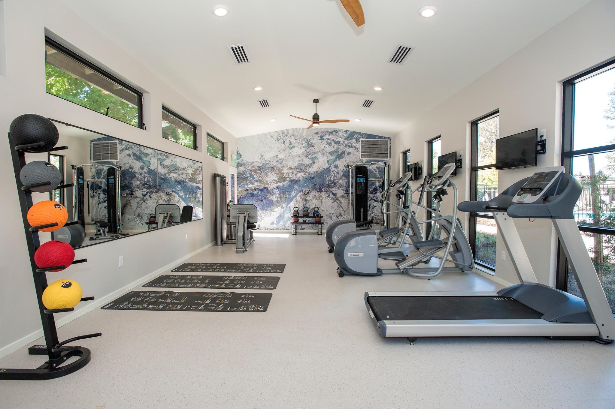 Renovated multi-family fitness center with cardio equipment and mountain mural